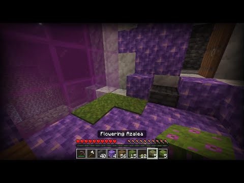 Minecraft_20260110011051