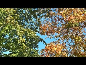 A Warm Welcome (original short song made within an hour)