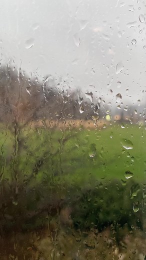 Gray skies are NOT going to clear up. Here’s a brief update on today’s weather. | WPXI Scott Harbaugh