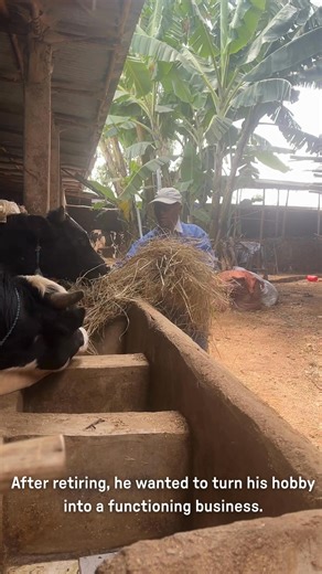 From professor of agroecology to a dairy farmer 👨‍🏫🐄 Kefyalew Worku is a long-standing employee of MFM, initially as an agricultural expert in our project areas, then as a professor at the foundation's own Agro Technical and Technology College (ATTC). After retiring, he devoted himself to dairy farming and wanted to turn his hobby into a business. He learned the right tools for this at the Business Incubation Center (BIC) at ATTC. In this EU-co-financed project, he learned how to optimize his