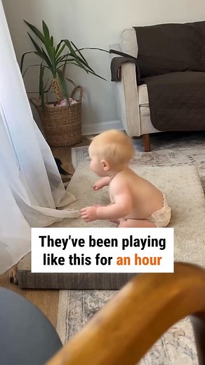 Precious moments between best friends ✨🐶💕👶🏼 | Argo Pets