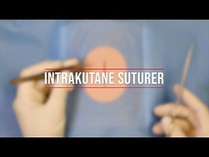 Intrakutane suturer