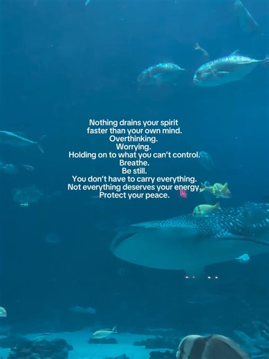 A reminder to slow your thoughts and soften your grip. You don’t have to solve everything today. Some things are meant to be released so your spirit can breathe again 🌊🫂 #protectyourpeace #gentlereminder #healingenergy #breatheandrelease #group7