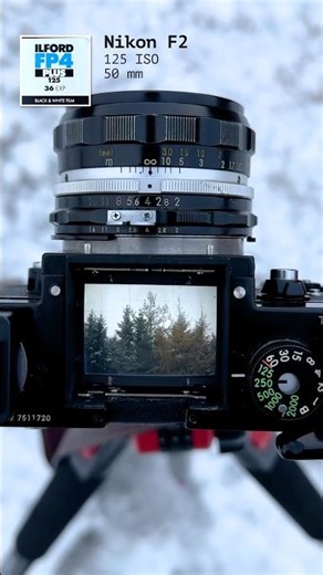 First Snow & Child – Ilford FP4 Plus – Nikon F2