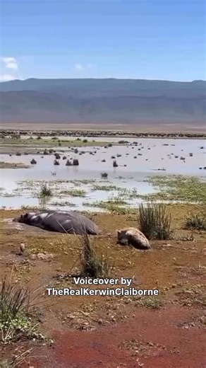 Kerwin Claiborne on Instagram