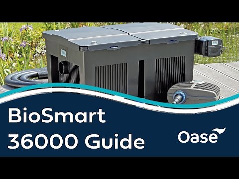 OASE BioSmart 36000 Guide with Three Counties Aquatics