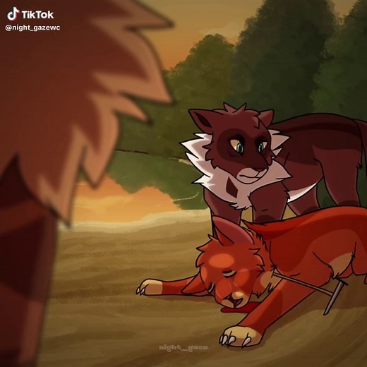 Hawkfrost and Brambleclaw Complete Map Explained