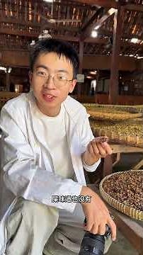 The process of making cat poop coffee Cat poop coffee also known as civet coffee or Luwak