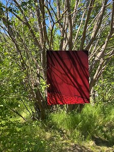 Copenhagen Photo Festival on Reels