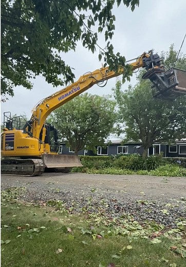 Precision Tree Work with the PC138! 🌳⚡ #komatsu #stihl