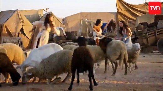 MOISÉS Y LOS 10 MANDAMIENTOS CAPITULO 231 | La palabra del Señor