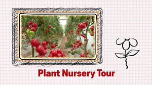 Nursery - Virtual Field Trip