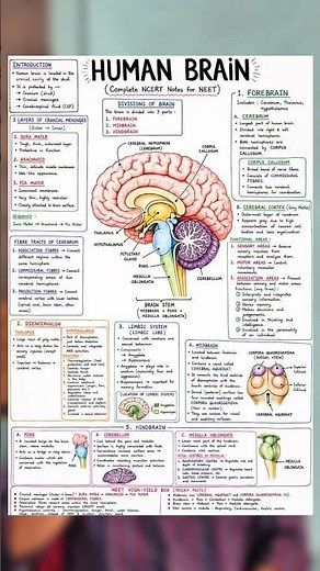 Best Hand Written Notes Method for Students 📚