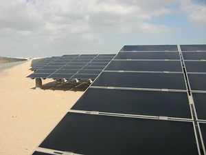 Rain Not Enough To Wash Pollen From Solar Panels — New Study - CleanTechnica