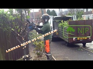 Laurel bush removal Garden Maintenance UK