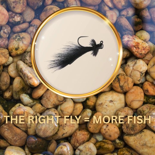 15 reactions | Our Fly Collection is built for anglers who know the hatch matters. With thousands of flies and an intuitive filtering system, you can hand-pick every pattern you need—no more wasted time or wrong calls on the water. | The Blue Quill Angler | Facebook