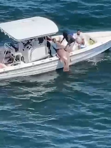 getting it done!! #trinidad #offshore #grouper #warsaw #frenzy #rig #oilfield #deepdropping #handline #honda #hondamarine #commercial