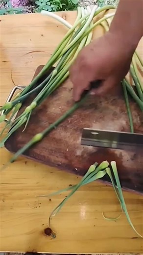 Fruity Fangs Jungle Juices! on Instagram: "Mastering the art of precision chopping! 🔪✂️ . . . #ChoppingSkills #KnifeSkills #FoodPrep #CookingTips #ChefLife #KitchenHacks #PrecisionCut"