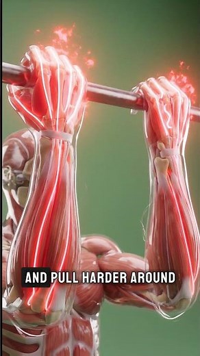 Dead Hang Every Day? What It Does to Forearms #deadhang #gripstrength #forearms #pulluptraining