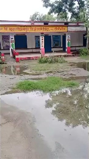 Live highlight
