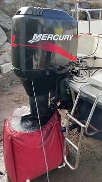 Mercury 115 hp 2-stroke 2001