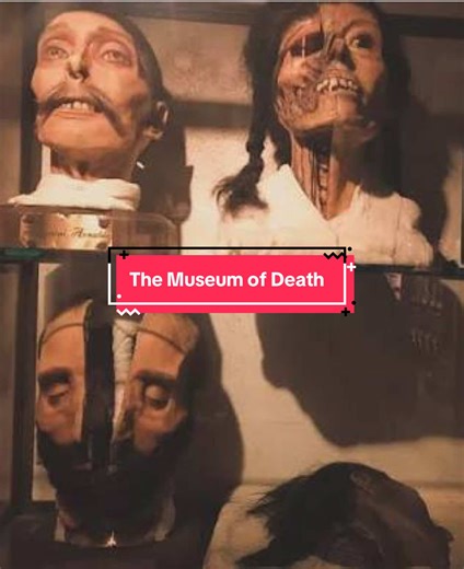 Hollywood’s Museum of Death…😱 #truecrime #creepy #marleneafterdark #disturbing #hauntedplaces