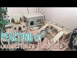 Reviewing YOUR Rabbit Habitats