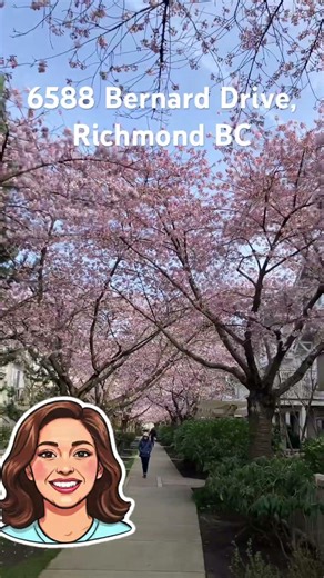Cherry blossom tunnel #sakura #cherryblossom #richmondbc #canada #spring