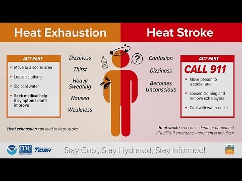 Heat exhaustion or heat stroke: Here are the signs to know