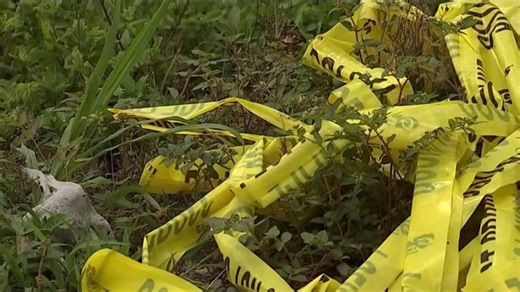 At least 42 charged in cockfighting ring bust in Miami-Dade