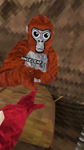 Day 2 of guessing people's color codes in Gorilla Tag #gorillatag #gtag #series #colorcode