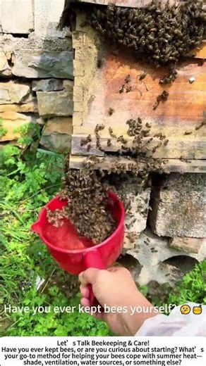 Keeping Bees Cool – Water Spray on a Hot Summer Day! 🐝💧