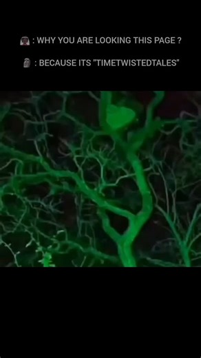 Horror | Scary | Terror on Instagram: "Ghosts are not scientifically proven to exist. While many people report experiences that they attribute to ghosts, and some cultures have strong beliefs about them, there is no concrete evidence to support their existence. Here's a more detailed explanation: No scientific evidence: Despite centuries of investigation and ghost hunting, there is no credible scientific evidence to confirm the existence of ghosts. Pseudoscience: Ghost hunting, the practice of i