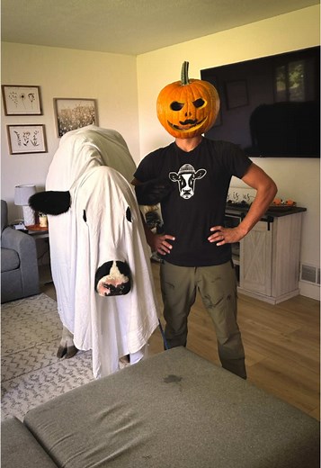 Trying the ghost trend with Bruce! #cow #brucethecow #farm #cow | cow