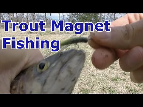 Trout Magnet Lure Fishing - Setup, Catches, and How to