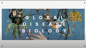 GDB Transfer Decision Webinar 2021