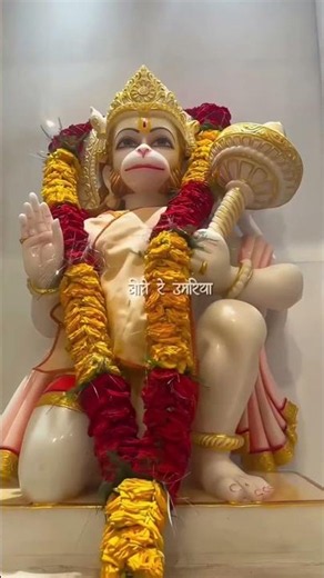 Rama Rama ratte ratte beet gai umriya 🚩 | Jay shree ram | #viral #bhakti #ram #viralvideo