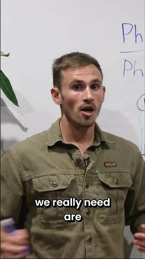 Phosphorus's role in DNA, the Phospholipid Bilayer, and Cell Survival #shorts