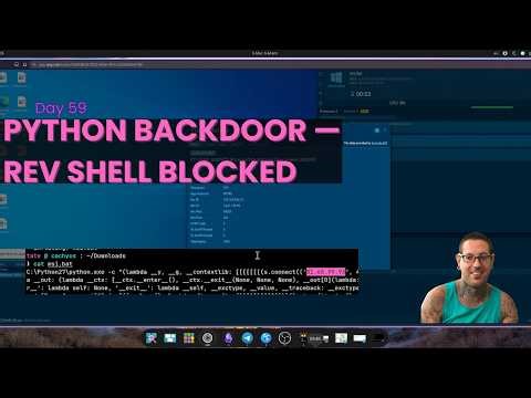 Reverse TCP Backdoor via Python — Caught & Cleaned Before Execution | LetsDefend Alert Triage