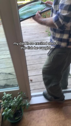 ok but why is it like that on the inside