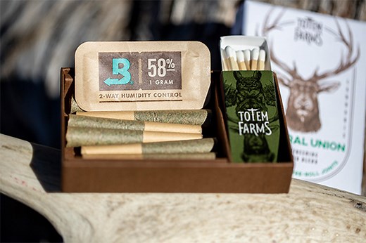 5 Common Questions About Boveda for Cannabis - Boveda