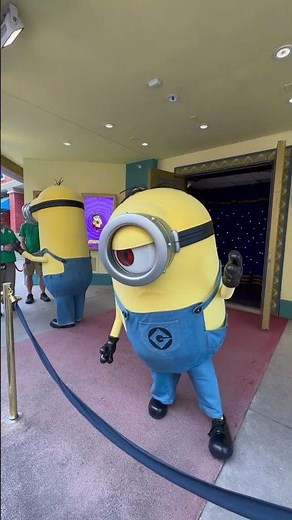 Minions Despicable Me Character Universal Studios Meet and Greet Illumination Theater