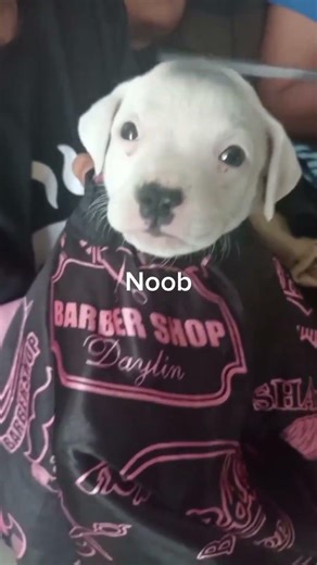 noob vs pro vs hacker vs good #fyp #viral