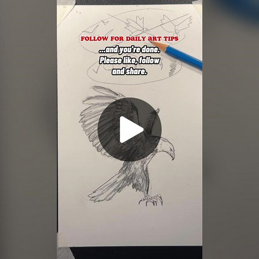 Realistic Eagle Drawing Tutorial - Part 2
