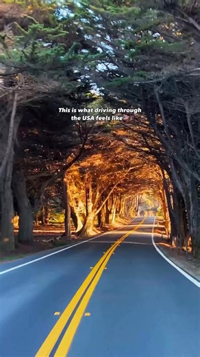 Hit the wide open road with car rentals across the U.S. from just $2 a day 🤩 https://l.travelpirates.com/ui4x0 🎥 IG: tworoamtheworld #roadtrip #usareels #TravelGoals #TravelDeals | Travelpirates.com