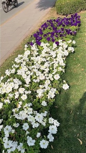 Top ASMR Whispers of Nature with Natural Sounds 🍃 Deep Sleep, Meditation & Focus