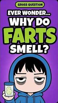 Why Do Farts Smell? 💨