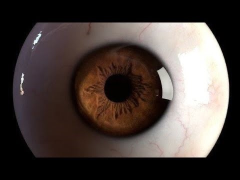 20/10 visual acuity • myopia , hyperopia correction | eagle eye vision subliminal