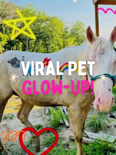 Your dog’s glow-up moment has arrived! 🐶💖 Say goodbye to basic fur and hello to vibrant, fun styles with Jim&Gloria Pet Hair Dye. This viral Amazon find lets you safely customize your pet’s look for any occasion, whether it’s a holiday, photo shoot, or just a walk in the park. The non-toxic, temporary formula is easy to apply, vibrant on light fur, and washes out effortlessly when you’re ready for a new look. 🌈✨ Ready to give your pet the ultimate makeover? Tap the link shop! 🛍️ https://jimn