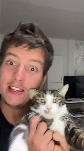 Merlin is cold #balkan #cat